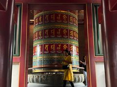 -新加坡佛牙寺龙华院