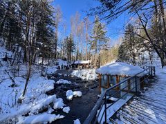 -峡谷浮石林景区