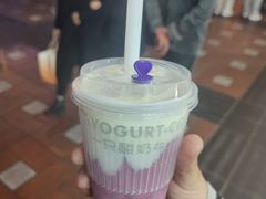 -一只酸奶牛(八一路店)