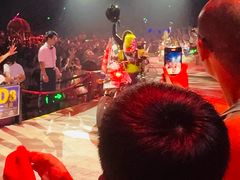 -广州长隆国际大马戏