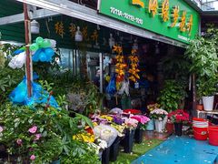 -曲阳花鸟市场(曲阳路店)