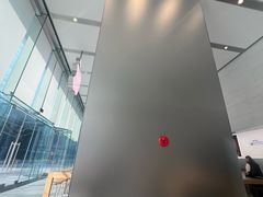 -Apple零售店(华贸购物中心店)
