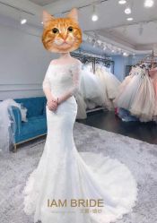 -艾慕婚纱礼服馆(和平店)