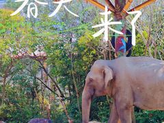 -上海野生动物园