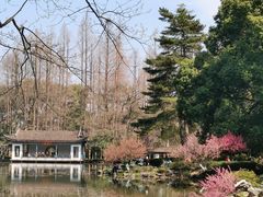 -杭州植物园