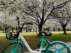 -同济大学(嘉定校区)