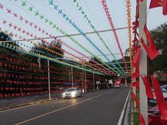 -九龙江国家森林公园