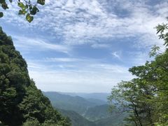-王顺山国家森林公园