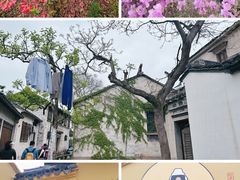 -东山风景区(洞庭东山)