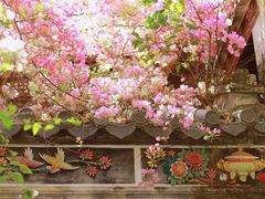 -深圳国际园林花卉博览园