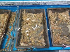 -神洲四海大酒楼(王府井澳门中心店)