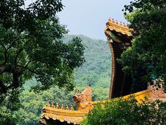 -普陀山风景区-佛顶山