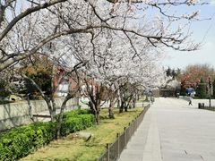 -大雁塔北广场音乐喷泉