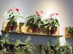-土桥手掌鸡·26年灌县老味道(都江堰店)