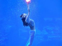 -太平洋海底世界