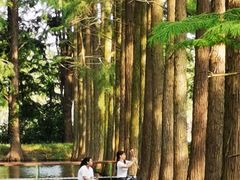 -渌洋湖湿地公园