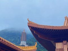 -深圳仙湖植物园
