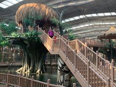 -南宫五洲植物乐园