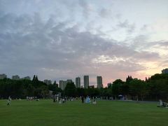 -青枫公园