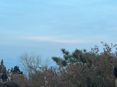 -泰山风景名胜区