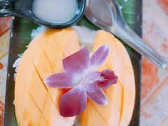 -Jungle Kitchen
