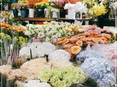 -双季花艺园艺市场(浦东店)