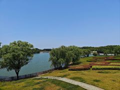 -东方绿舟景区
