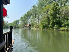 -溱湖国家湿地公园