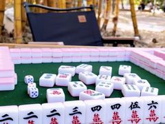 -南丹山森林王国
