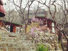 android_upload_pic-北京水岸山吧度假村(雁栖镇店)