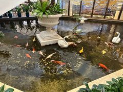 -广州白天鹅宾馆