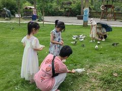 -合肥滨湖国家森林公园