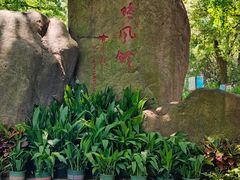 -上海方塔园