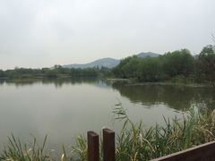 -长兴太湖图影湿地文化园