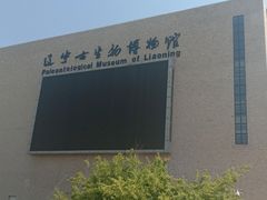 -辽宁古生物博物馆