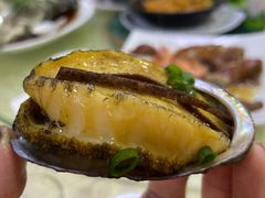 陈皮蒸鲍鱼-老字号蛇口德记烧腊饭店·海鲜加工
