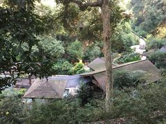 -韶关经律论国际酒店温泉