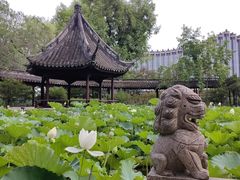 -上海醉白池公园