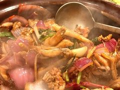 -胡须佬鸡煲四季火锅(龙珠大道店)
