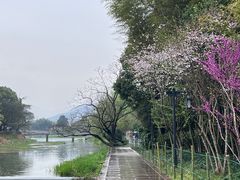 -兰亭风景区