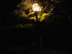 -巴陵广场