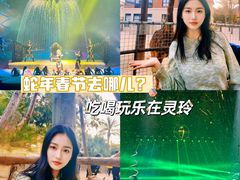 -灵玲国际马戏城