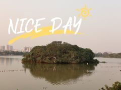 -海珠湖公园