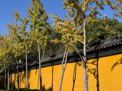 -西园寺素食(西园弄戒幢律寺店)
