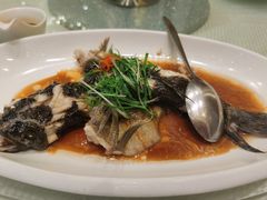 -香港富临皇宫(扬名广场店)