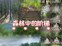 -田心森林公园
