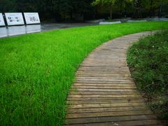 -南山植物园
