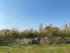 -汉江湾体育公园