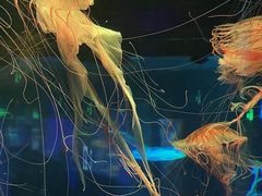 -郑州海洋馆