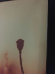 -时尚殿堂·颜SPA